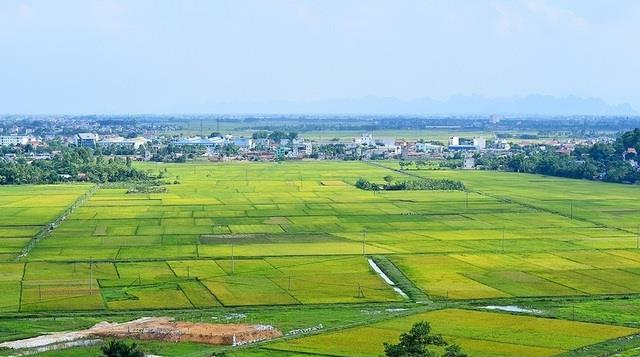 Phó Thủ tướng Trần Hồng Hà yêu cầu hoàn thiện 4 dự thảo Nghị định quy định về đất đai.