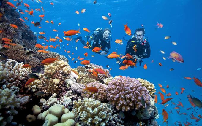 Du khách đến đây có thể đắm chìm trong làn nước biển trong xanh, ngắm nhìn những rạn san hô đầy màu sắc. Ảnh: Internet