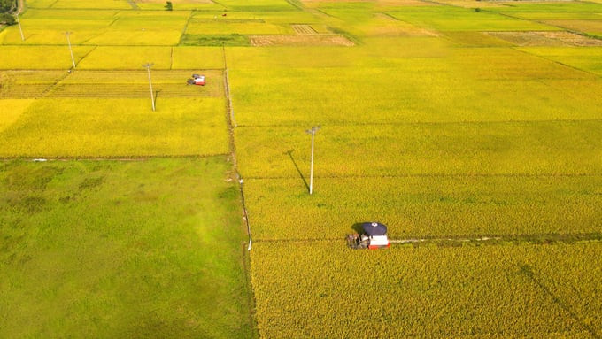 Việc chuyển đổi mục đích sử dụng đất trồng lúa nhằm triển khai các dự án, công trình trọng điểm và chuyển đổi sang mục đích sử dụng khác tại Hà Nội hiện đang đạt tỷ lệ thấp. Ảnh: Internet