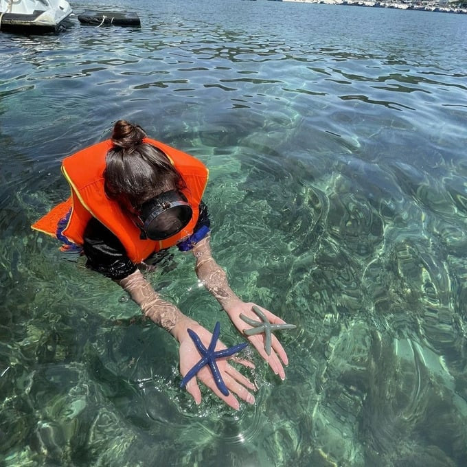 Nước biển trong veo giúp du khách dễ dàng chiêm ngưỡng những rạn san hô nhiều màu sắc. Ảnh: Sưu tầm