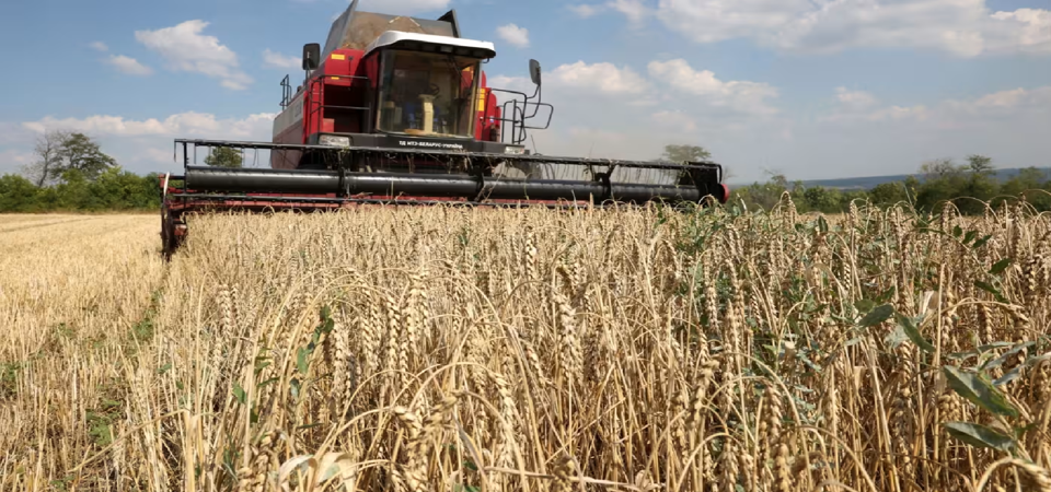 Giá lương thực đã tăng vọt kể từ khi xung đột tại Ukraine xảy ra. Ảnh: The Financial Times