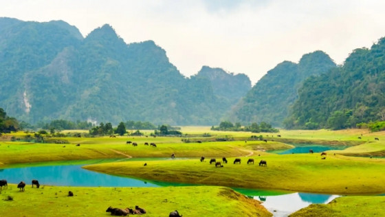 Mùa hè đi biển quá đông đúc, hãy xách balo lên 'Mông Cổ thu nhỏ' chỉ cách Hà Nội 120km