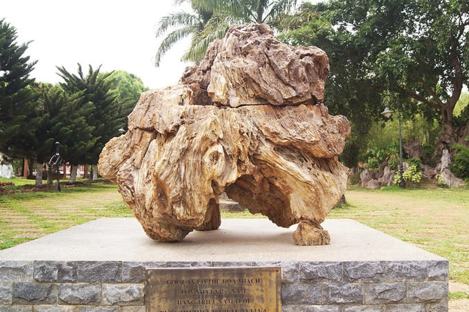 Khúc gỗ hóa thạch nặng tới 8 tấn được tìm thấy ở Gia Lai, Việt Nam. Ảnh: Internet