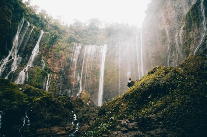 Tumpak Sewu hay còn được gọi là vách đá Paradise là một trong những thác nước đẹp nhất ở Đông Java và Indonesia. Ảnh: Internet