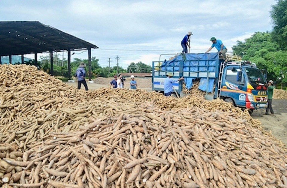 Xuất khẩu nông lâm thuỷ sản đạt 29,2 tỷ USD trong 6 tháng đã qua của năm 2024.