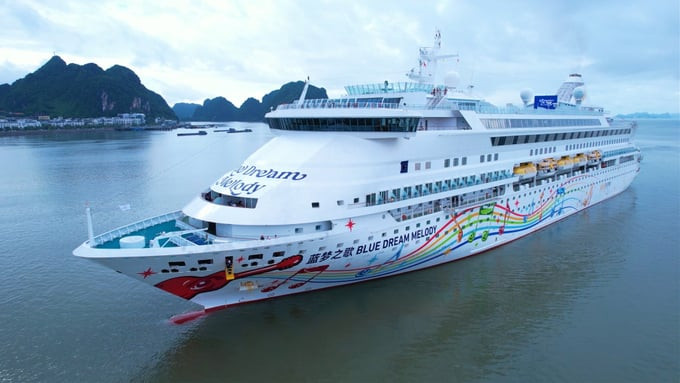 Tàu biển đưa du khách quốc tế đến Hạ Long (Quảng Ninh). Ảnh: Cục Du lịch Quốc gia Việt Nam.