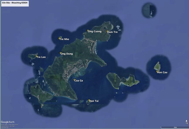 Khu vực khảo sát hiện trạng rạn san hô bị tẩy trắng tại Côn Đảo. Ảnh: Internet