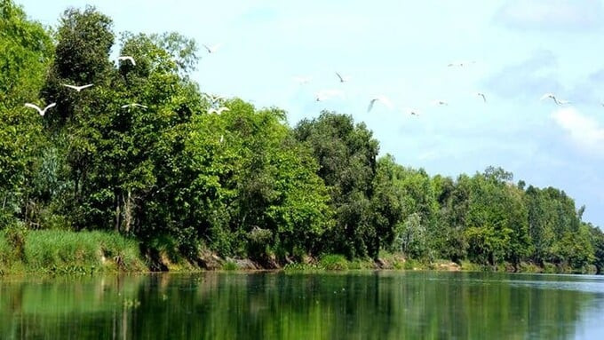 Đồng bằng sông Cửu Long sẽ có thêm 2 hồ chứa nước ngọt
