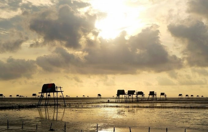 Bãi biển Cồn Vành là địa điểm tham quan thú vị khi tới Thái Bình. Ảnh: Internet