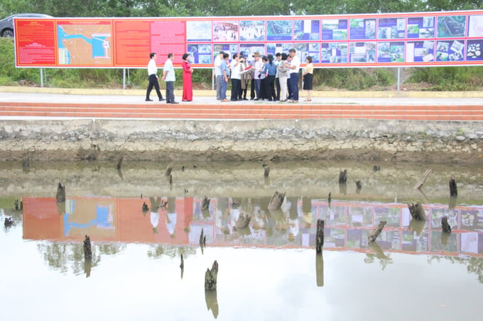 Đoàn chuyên gia Quốc tế UNESCO/ICOMOS khảo sát, thẩm định tại Bãi cọc Yên Giang. Ảnh: Ánh Tuyết