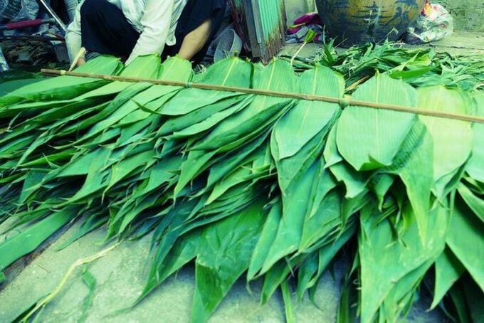 10 tháng đầu năm 2023, Việt Nam thu về 1,31 triệu USD từ xuất khẩu lá tre. Ảnh: Internet