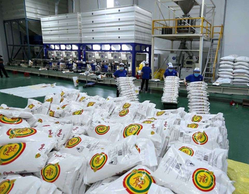 Năm 2024, Việt Nam dự kiến xuất khẩu trên 8 triệu tấn gạo. Ảnh minh họa 