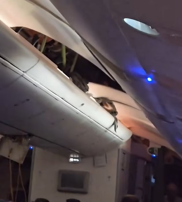 Máy bay Boeing hạ cánh khẩn cấp vì gặp nhiễu động: Hành khách 'treo lơ lửng' trong khoang hành lý, một số mảng trần máy bay bị 'xé toạc' - ảnh 2