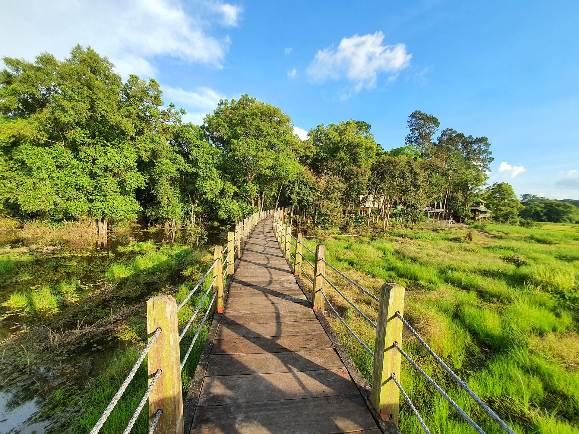 Vườn Quốc gia Nam Cát Tiên