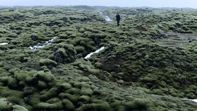 Cánh đồng dung nham Eldhraun là minh chứng hùng hồn cho lịch sử núi lửa đầy biến động của Iceland. Ảnh: Internet