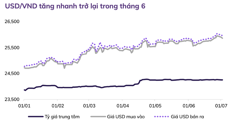 Chứng khoán Việt Nam sắp bước vào sóng tăng mới trong nửa cuối năm 2024