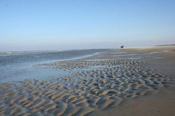 Biển Wadden trải dài từ Den Helder ở phía Tây Bắc của Hà Lan, qua các cửa sông lớn tại Đức, tới ranh giới phía Bắc ở Skallingen – nơi thuộc phía bắc Esbjerg (Đan Mạch). Ảnh: Internet