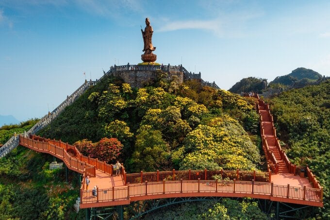 Mùa hoa đỗ quyên bung nở bạt ngàn trên đỉnh Fansipan. Ảnh: Bảo Long/Laodong