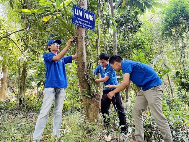 Chương trình “Đem lan về với tự nhiên” góp phần giữ độ đa dạng sinh học của rừng Cấm. Ảnh: Minh Tâm/Báo Dân Việt