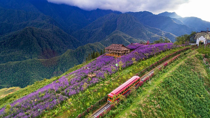 Di chuyển trên tàu hỏa leo núi Mường Hoa còn mang đến cho du khách cơ hội ngắm nhìn trọn vẹn cảnh đẹp hùng vĩ của thung lũng Mường Hoa và những dãy núi Tây Bắc hùng vĩ. Ảnh: Internet