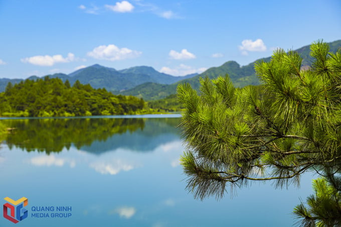 Không gian rộng lớn toàn màu xanh đẹp mắt ở hồ Phình Hồ. Ảnh: Quang Ninh Media Group