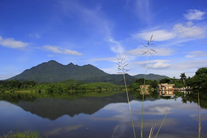 Đặc biệt, hệ sinh thái tại Vườn quốc gia Ba Vì rất phong phú và đa dạng, là nơi lưu giữ kho tàng thiên nhiên quý giá của Việt Nam. Ảnh: Internet