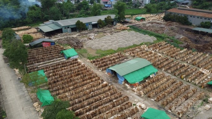 Bên trong khu vực triển khai dự án Nhà máy sản xuất ô tô Tralas. Ảnh: Toán Nguyễn