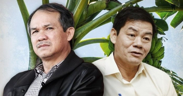 Thaco Agri từ mức lỗ 383 tỷ đồng đã ‘trở mình’ có lãi, ‘quả tạ’ HAGL Agrico (HNG) bớt nặng?