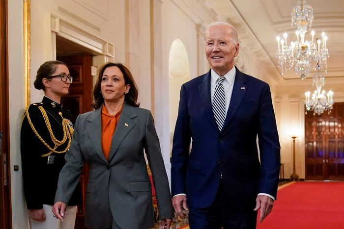 Chân dung người phụ nữ gốc Á có thể thay ông Joe Biden trở thành ứng viên Tổng thống Đảng Dân chủ - ảnh 1