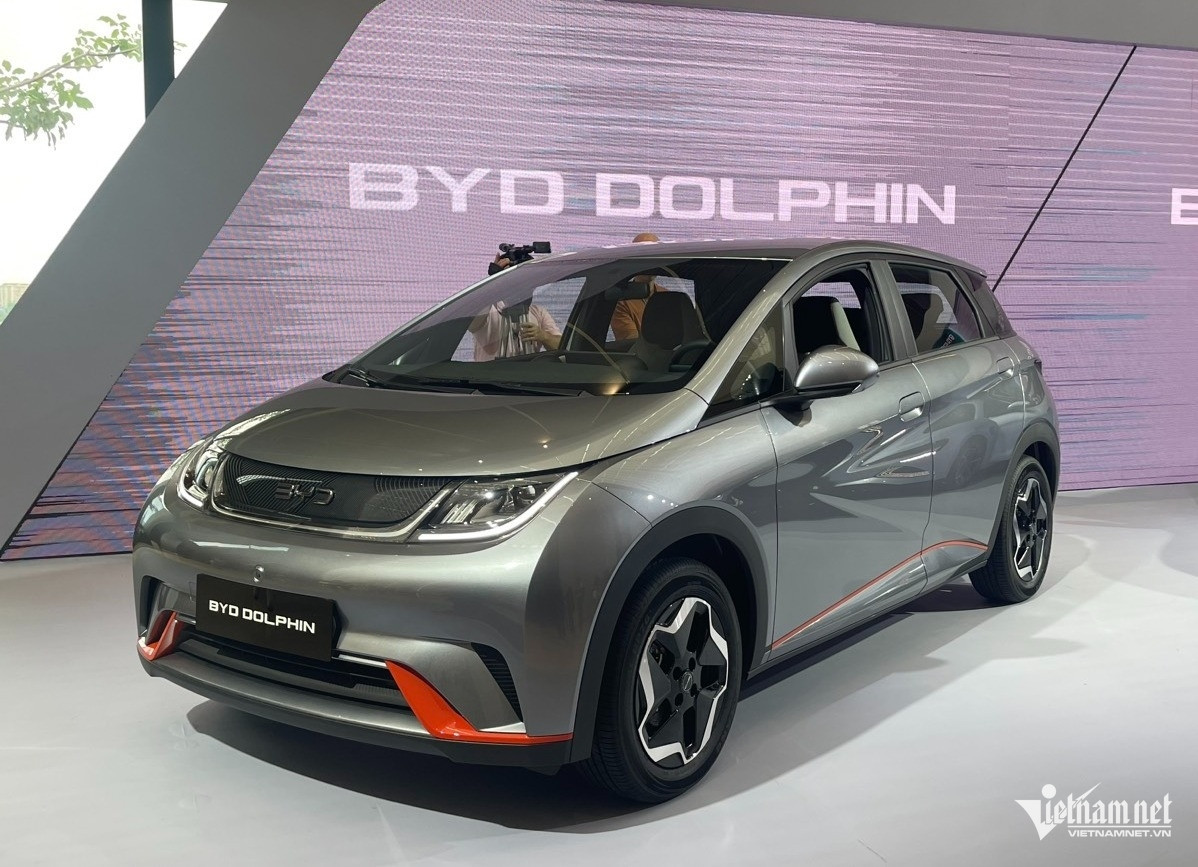 W-BYD Dolphin.jpg