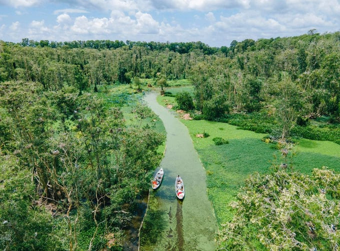 Phần lõi của rừng tràm Trà Sư nhìn từ trên cao. Ảnh: Trasu Tourist Area