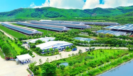 Lượng carbon trung hòa của trang trại Green Farm tương đương 30.000 sân bóng phủ đầy cây xanh, lượng nước tuần hoàn tương đương 86 hồ bơi Olympic… - Ảnh: Vinamilk