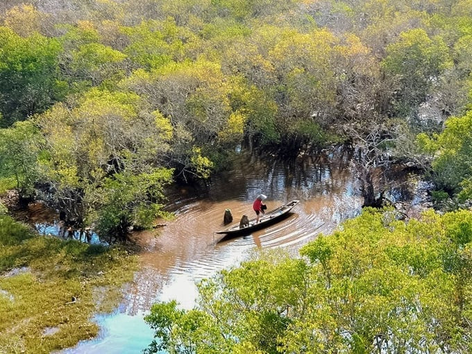 Những chiếc thuyền nhẹ nhàng lướt trên mặt nước, mang đến trải nghiệm thư giãn và thú vị (Ảnh: Internet)