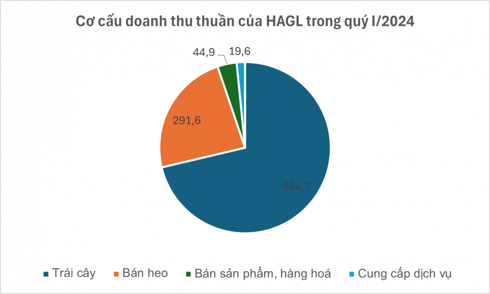 Hàng trăm héc-ta sầu riêng của bầu Đức sắp thành ‘mỏ vàng’ nhờ thu hoạch nghịch vụ