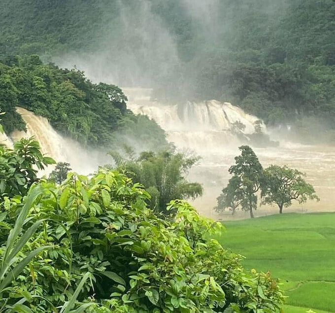 Nước lũ đục ngầu gây ngập nhiều vị trí tại khu vực thác Bản Giốc (xã Đàm Thủy, Trùng Khánh, Cao Bằng). Ảnh: Diệp Nhím.