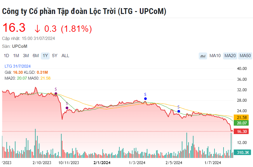 Xuất hiện doanh nghiệp đầu tiên xin chậm nộp báo cáo quý II/2024 tới 30/8