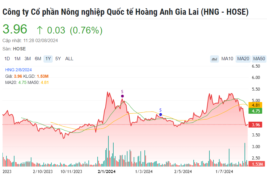 HAGL Agrico (HAG) đặt mục tiêu lợi nhuận năm 2028 đạt 2.450 tỷ đồng