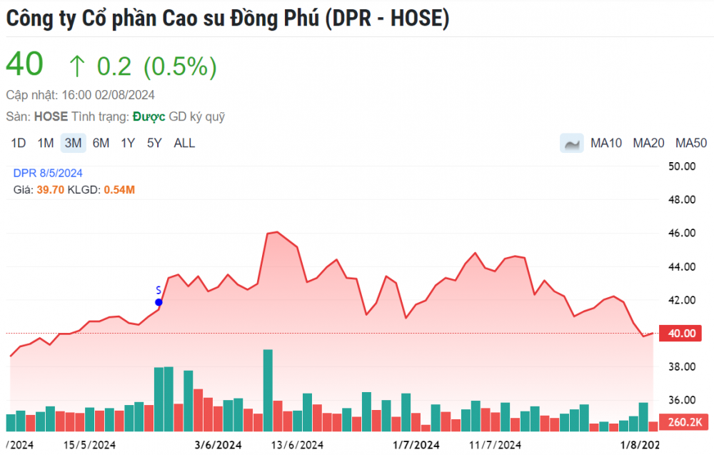 Kinh doanh khởi sắc, một cổ phiếu cao su tăng ‘phi mã’ hơn 26%