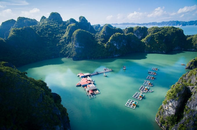 Làng chài Vung Viêng (hay còn gọi là Vông Viêng) nằm giữa nhiều hòn đảo xinh đẹp trên vịnh Bái Tử Long, Quảng Ninh. Ảnh: Internet