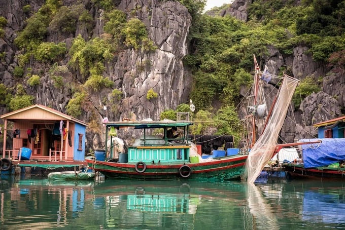 Làng chài này nằm chếch về phía Đông Bắc, gần các mỏ than Quảng Ninh và cảng Vân Đồn, với cửa khẩu Móng Cái và biển Trà Cổ nằm phía trên. Ảnh: Internet