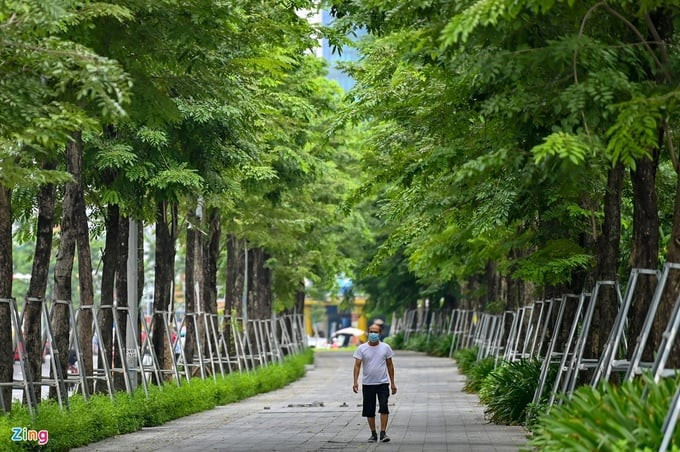 Dọc hai bên đường Phạm Văn Đồng từ nút giao Mai Dịch đến cầu Thăng Long được trồng 1.500 cây xanh. Ảnh: Zing.vn