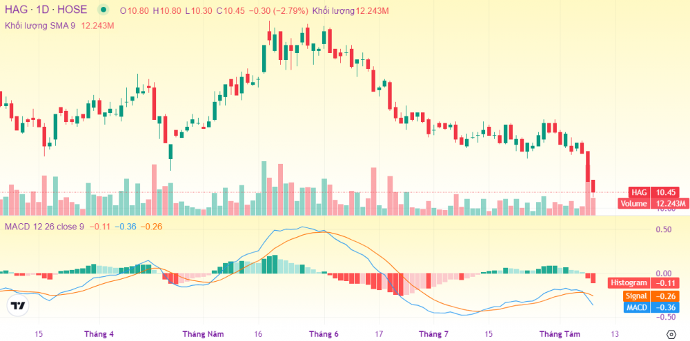 Cổ phiếu HAGL giảm 30% bất chấp lợi nhuận tăng trưởng, lãnh đạo đăng ký mua vào