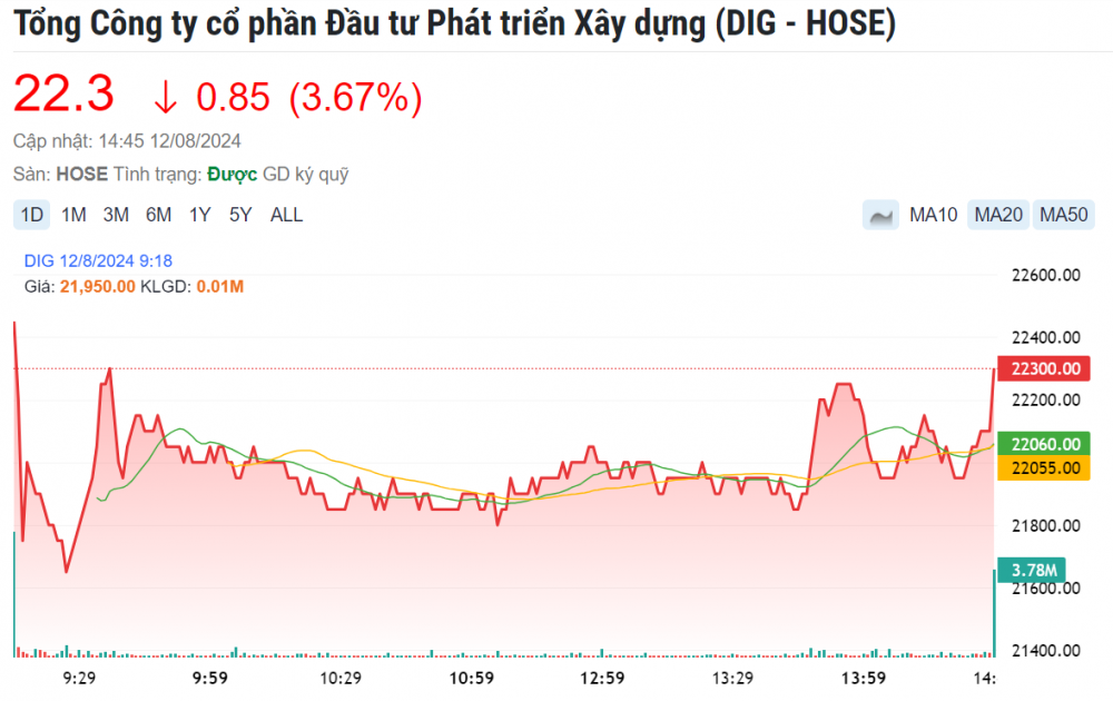 Nhà đầu tư thi nhau bán tháo cổ phiếu DIG