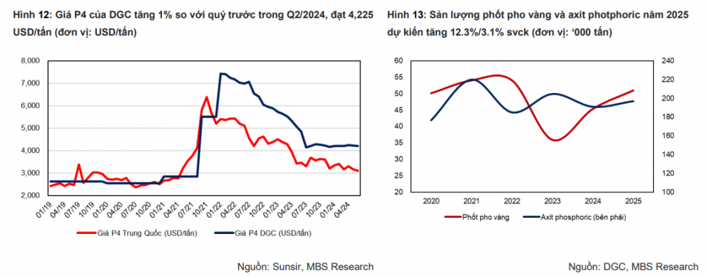 Lãi ròng của Hóa chất Đức Giang (DGC) có thể tăng 31% trong nửa cuối năm 2024