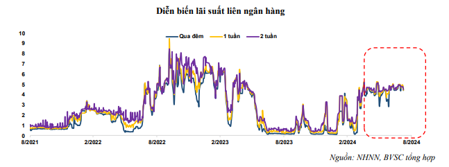 Bản tin tiền tệ 5/8 - 9/8: NHNN hạ lãi suất trên thị trường mở, tỷ giá hạ nhiệt