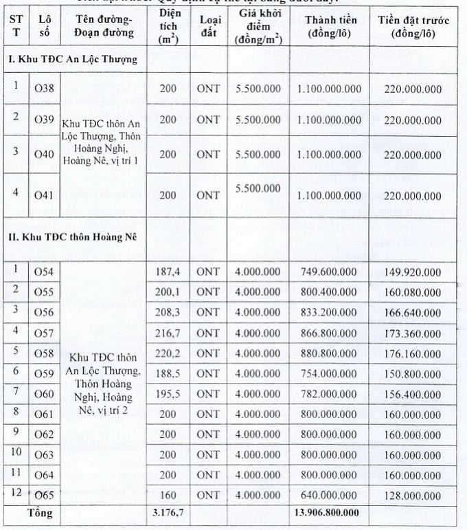 Thông tin đấu giá 16 khu đất tại huyện Ý Yên. Ảnh: Internet