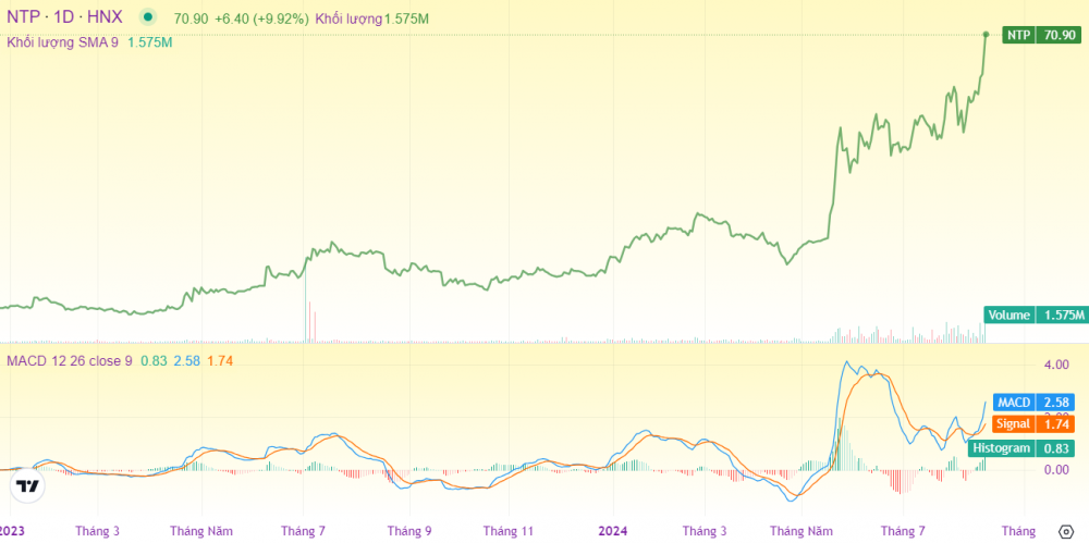Cổ phiếu NTP tăng giá mạnh: Điểm vàng mua mới vẫn còn?