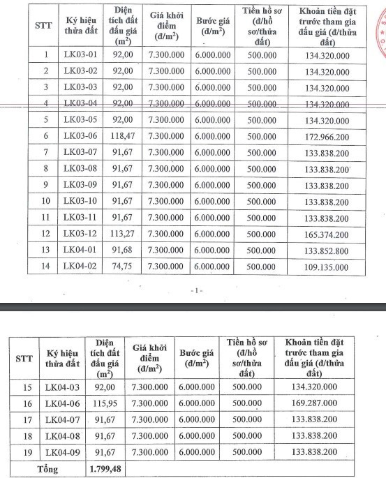 Ngày mai (19/8), hơn 700 hồ sơ tham gia đấu giá đất tại huyện Hoài Đức - ảnh 1