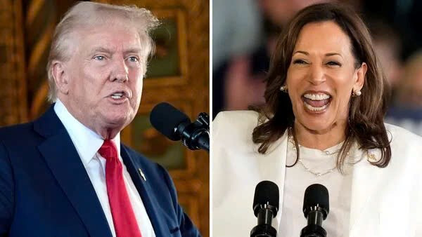 Ông Donald Trump tiếp tục công kích cá nhân bà Harris: 'Tôi ưa nhìn hơn bà ấy rất nhiều’ - ảnh 1