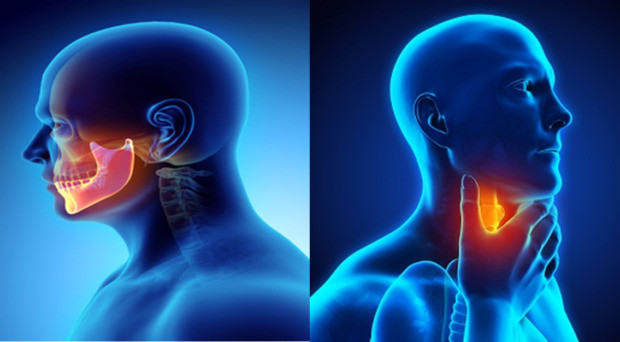 Các nhà khoa học hy vọng rằng phát hiện này sẽ mở ra cơ hội cho các phương pháp điều trị ung thư mới trong tương lai (Ảnh: Internet)